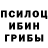 Галлюциногенные грибы Psilocybe Ben Bulloch