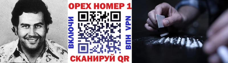 Купить закладки  Тында  Cocaine FishScale 