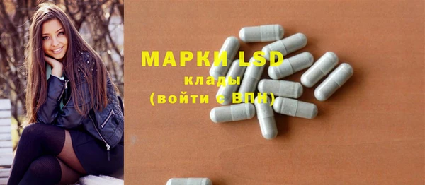 прущие грибы Коряжма