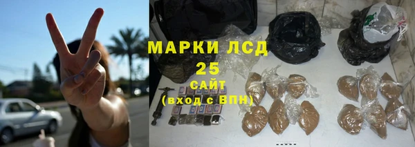 прущие крисы Корсаков