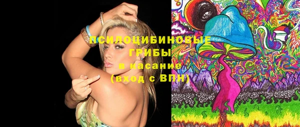 крисы Костерёво