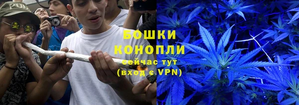 прущие крисы Корсаков