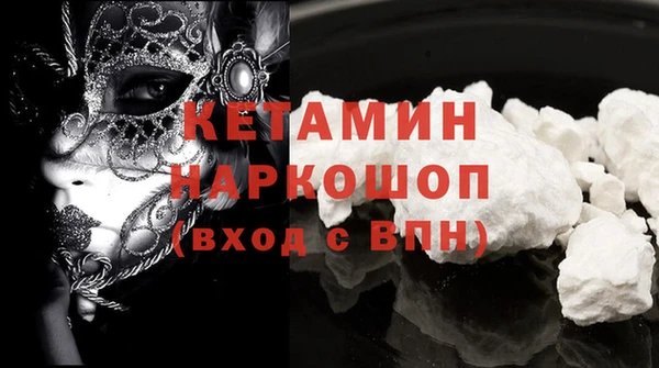 прущие грибы Коряжма