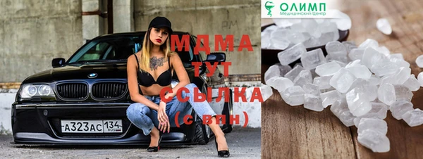 прущие грибы Коряжма