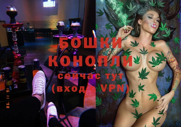 прущие крисы Корсаков