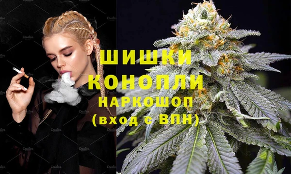 прущие крисы Корсаков