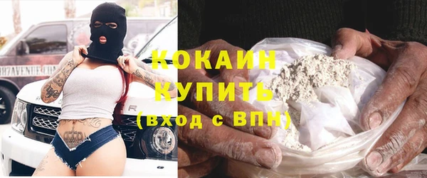 прущие грибы Коряжма