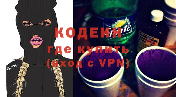 прущие грибы Коряжма
