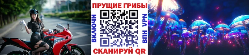 Купить закладки Тында Галлюциногенные грибы мухоморы